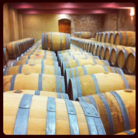 bodegas mustiguillo